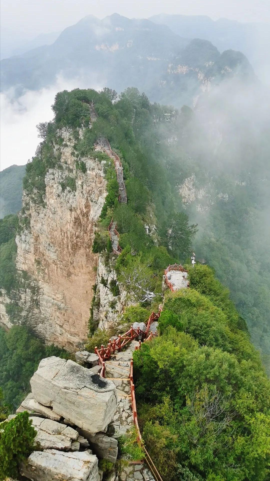 河南发展动态，活力四溢，未来展望可期