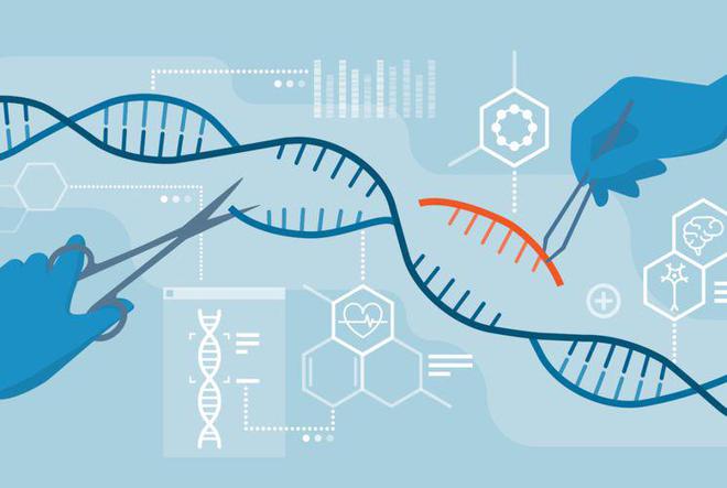 基因编辑技术的新突破引领生命科学新纪元