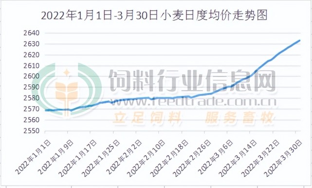 最新小麦期货行情分析与走势预测