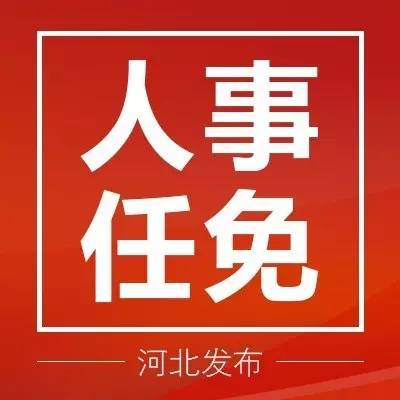 河北省最新人事任免动态概览