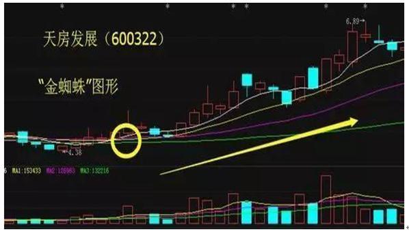 金蜘蛛最新招聘信息全面解析