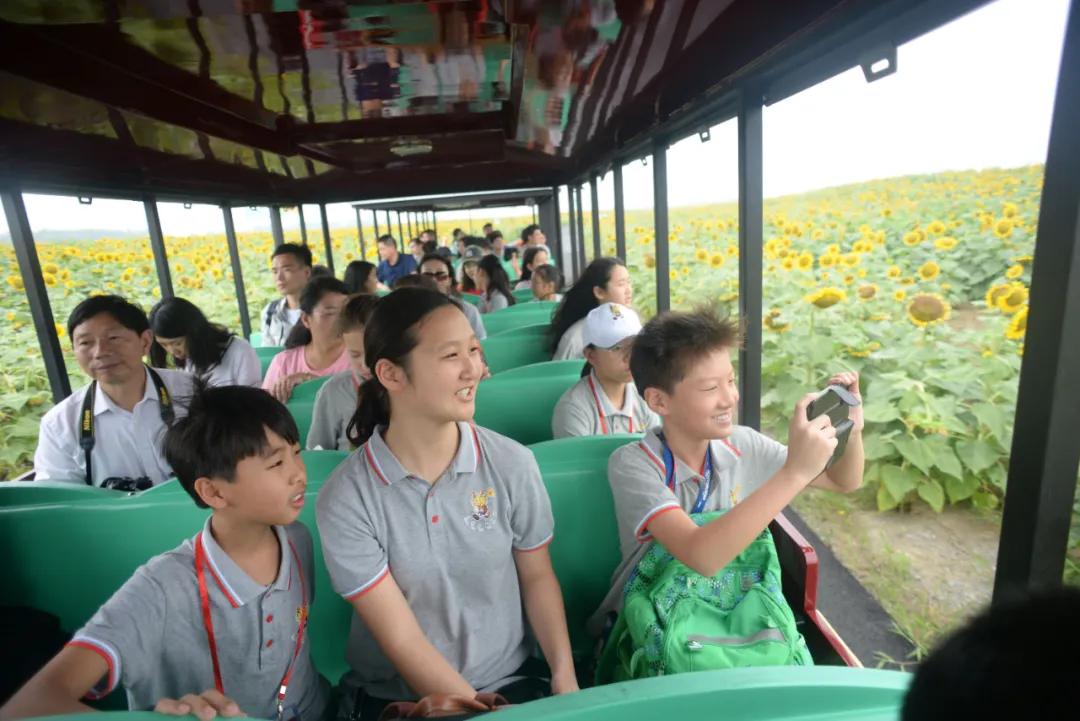 淮安白马湖最新动态，发展与保护的和谐共鸣