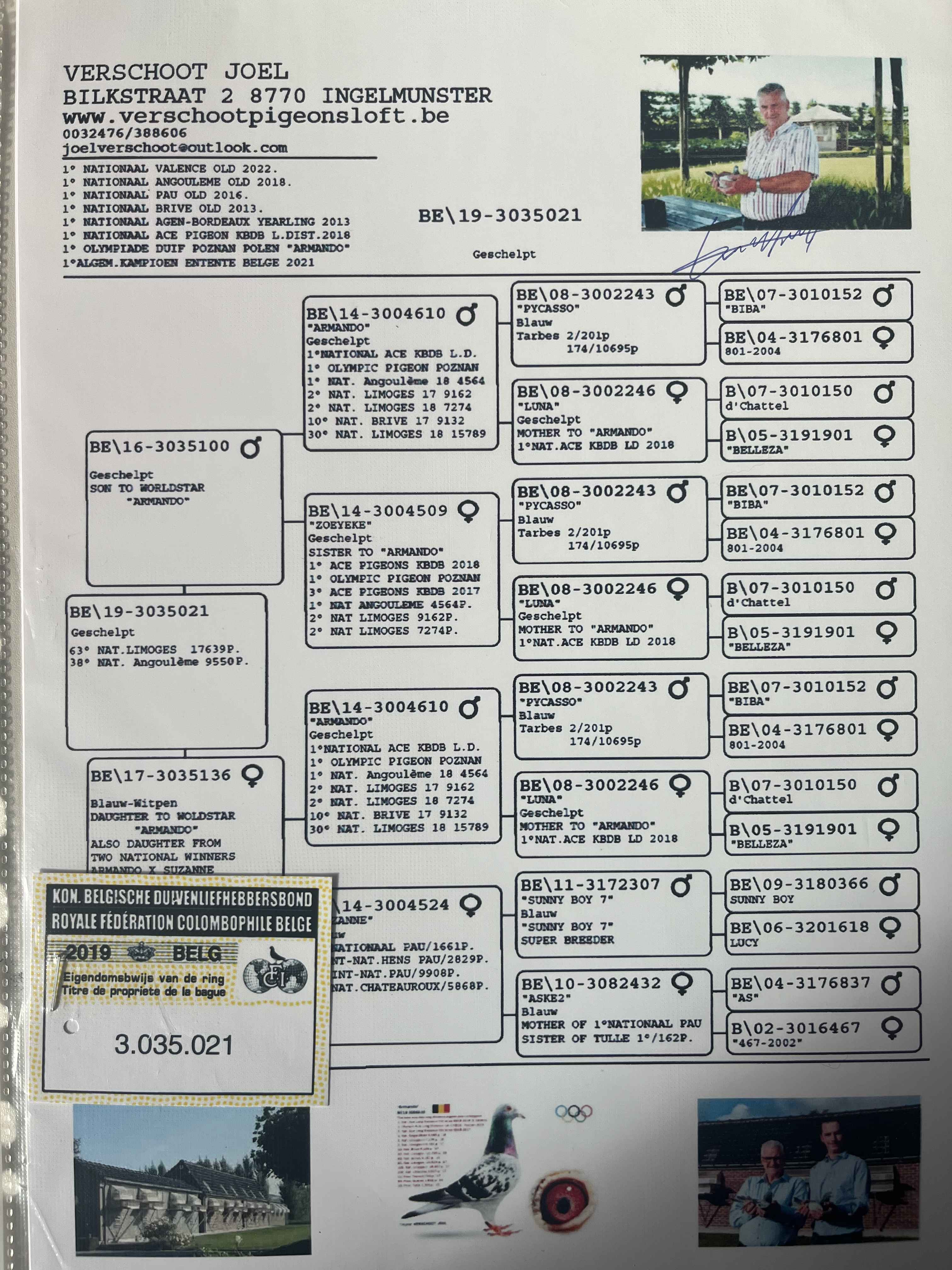 奥门特马特资料,实地验证设计解析_尊贵款95.491