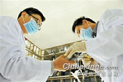 遂宁H7N9最新动态，全面防控措施实施，保障民众健康安全