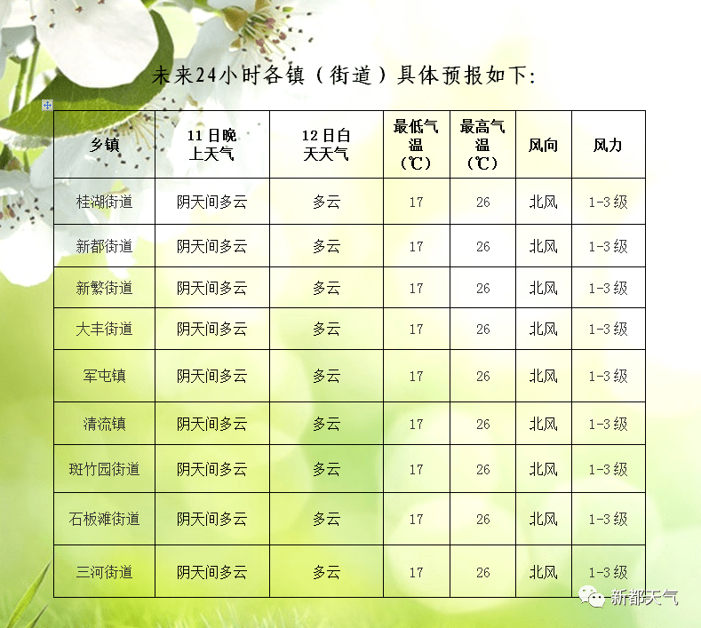 北部街道天气预报详解