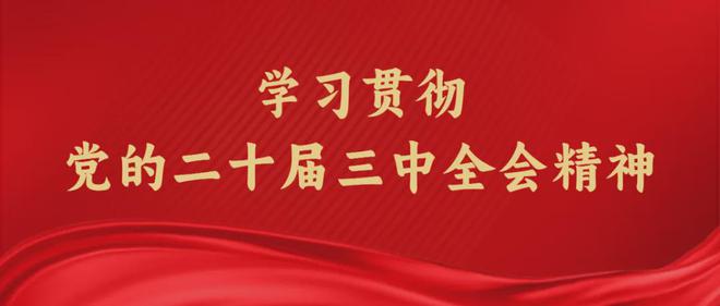 2024新澳门正版资料免费大全,福彩公益网,完善系统评估_专属款83.524