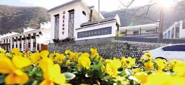 强家湾村委会重塑乡村交通面貌，助力地方繁荣发展最新报道