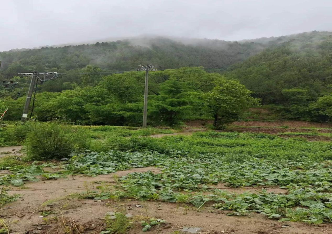 麻界滩村委会天气预报更新通知