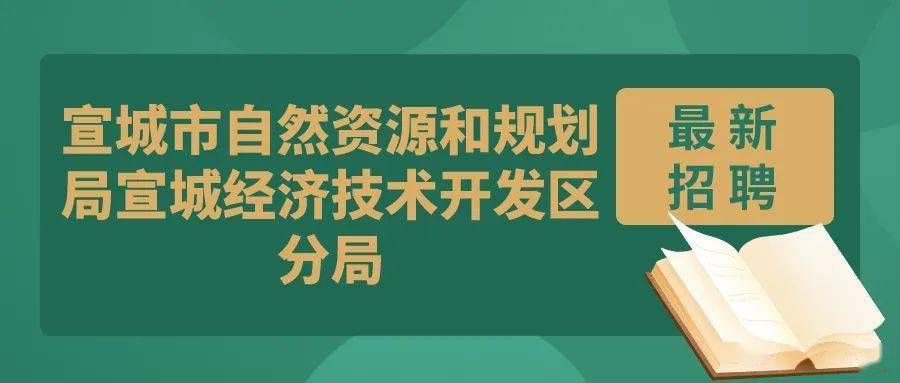 内乡县自然资源和规划局最新招聘公告概览