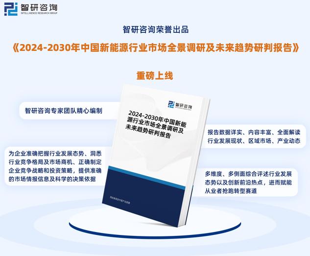 2024新奥正版资料免费提供,实地评估策略_进阶版62.269