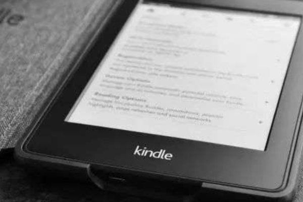 2024新奥精选免费资料,适用设计策略_Kindle54.23