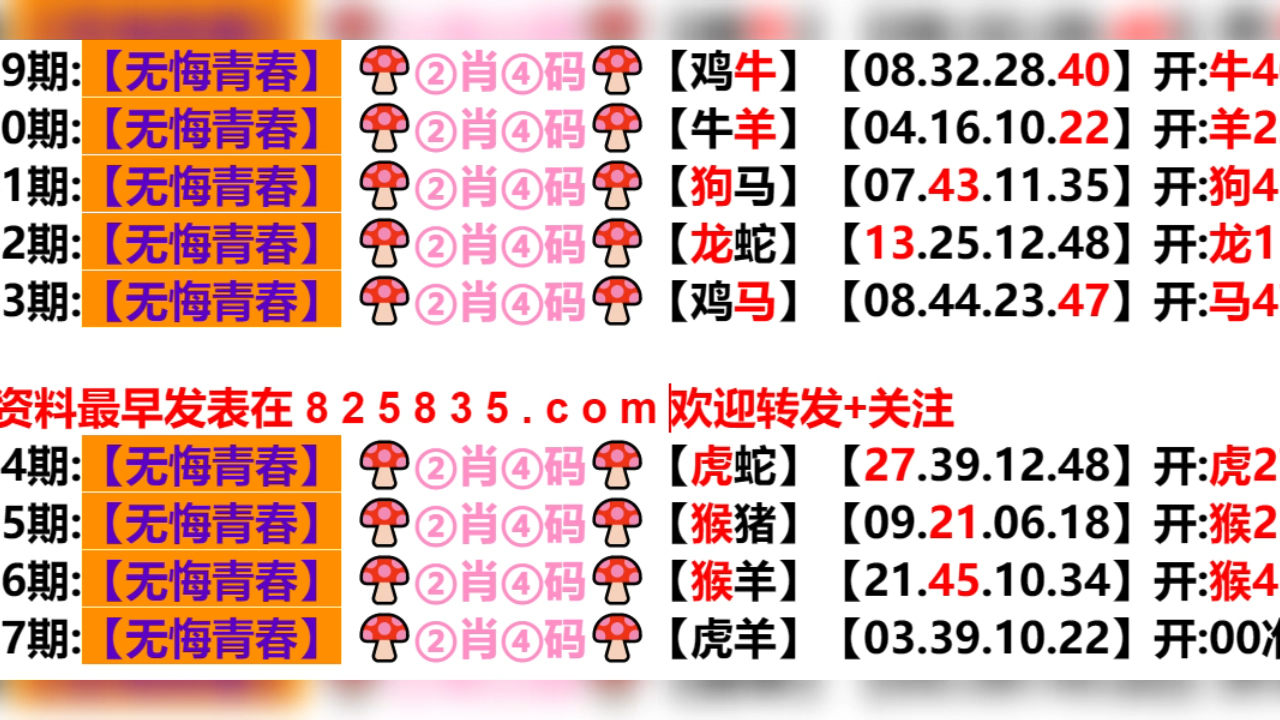 2024年新奥门天天开彩,预测说明解析_yShop42.429