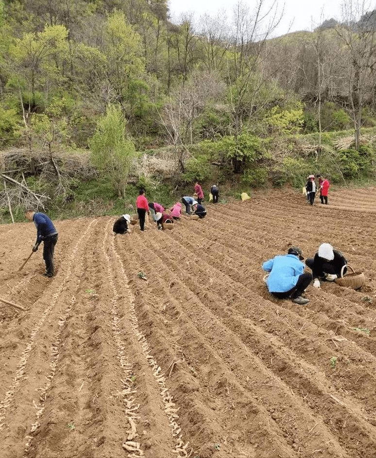 西沙群岛农业农村局新项目探索海洋农业新领域，助推海洋经济发展新篇章