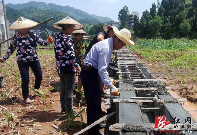 达岚镇先锋项目，引领地区发展的强大引擎