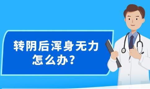 新澳精准资料免费提供网站有哪些,效率解答解释落实_精英款94.648