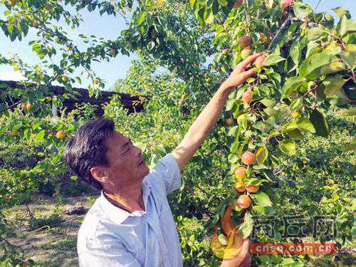 大仵乡新项目引领乡村发展热潮