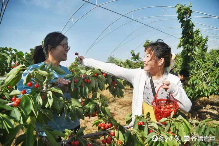 油洋乡人事任命揭晓，塑造未来，激发新动能新篇章