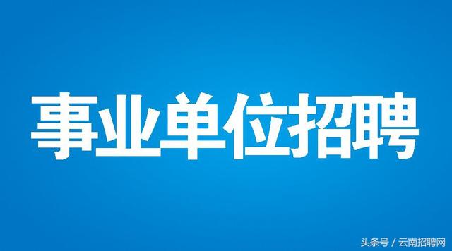 东兴市交通运输局招聘启事，探寻职业新机遇