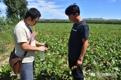 那巴村繁荣和谐新蓝图，最新发展规划揭秘