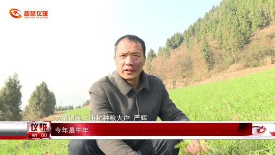 文星村最新招聘信息汇总