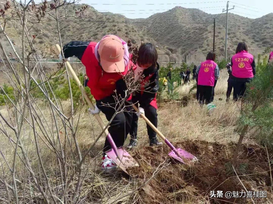 石拐区交通运输局新项目助力区域交通现代化进程