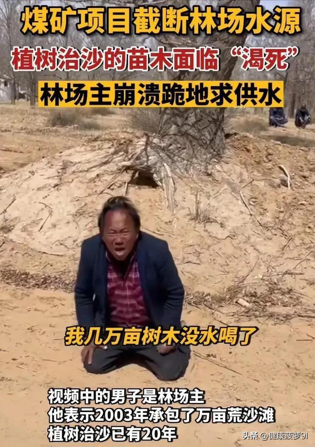 马家滩镇新项目，地区发展的强大引擎驱动力