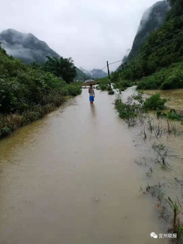 北牙瑶族乡天气预报更新通知