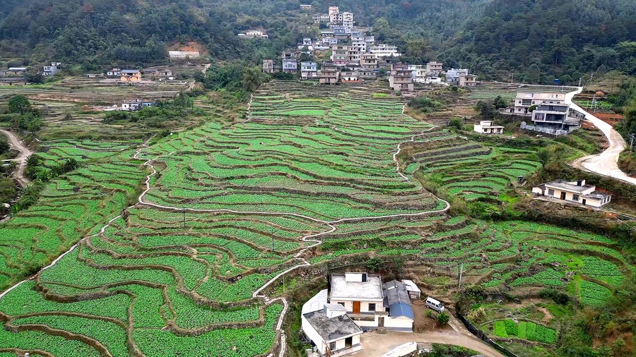 罗溪瑶族乡天气预报更新通知