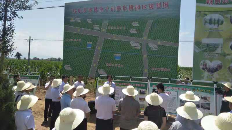 枣沟头镇新项目，引领地方经济转型升级的强劲引擎