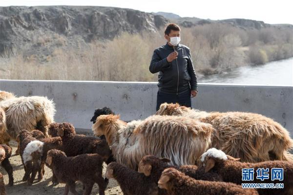 福海县级公路维护监理事业单位最新动态与成就概览