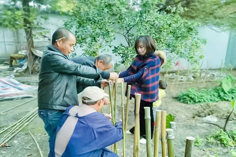 皂角社区村最新项目，乡村振兴典范引领之路