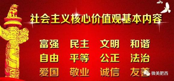 百富村委会最新招聘信息全面解析