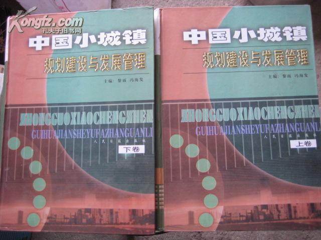 小页村委会未来发展规划概览